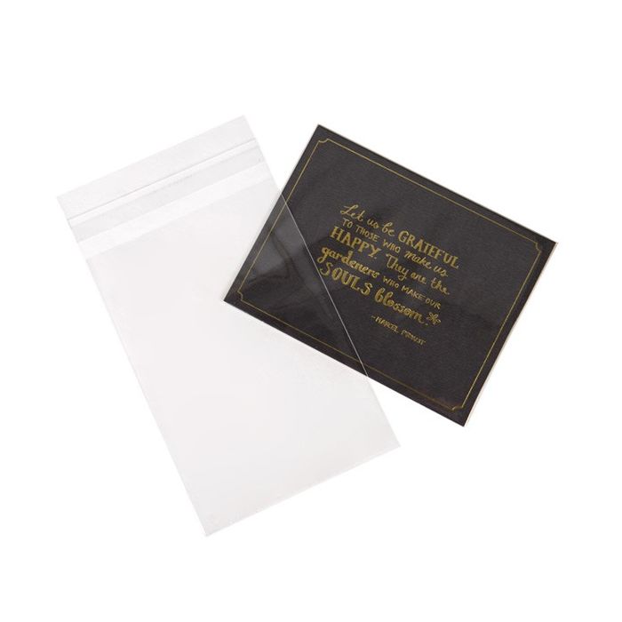 Plastic Bags 10.8x15.6cm Transparent Peel and Seal(250 pieces)