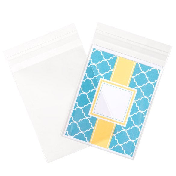 Sacchetto di plastica trasparente 11.7x14.6cm con chiusura adesiva (250 pezzi) [VL54]