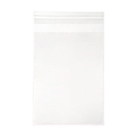 Sacchetto di plastica trasparente 12.5x16.7cm con chiusura adesiva (250 pezzi) [VL65]