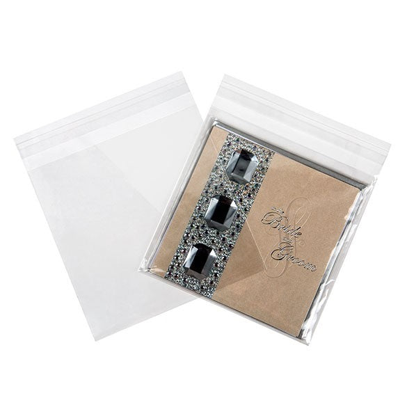 Sacchetto di plastica trasparente 15.9x15.9cm con chiusura adesiva (250 pezzi) [VL66]