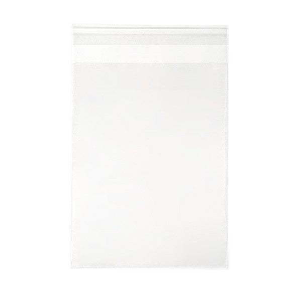 Sacchetto di plastica trasparente 13.3x18.1cm con chiusura adesiva (250 pezzi) [VL75S]