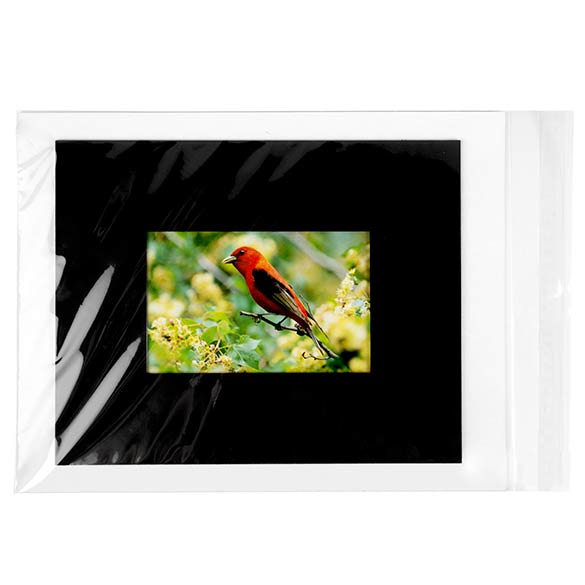 Sacchetto di plastica trasparente 24x31.9cm con chiusura adesiva (250 pezzi) [VL9]