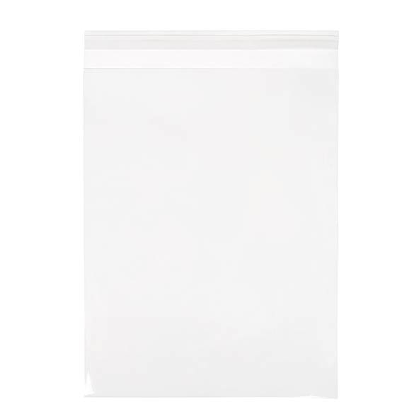 Sacchetto di plastica trasparente 24x31.9cm con chiusura adesiva (250 pezzi) [VL9]