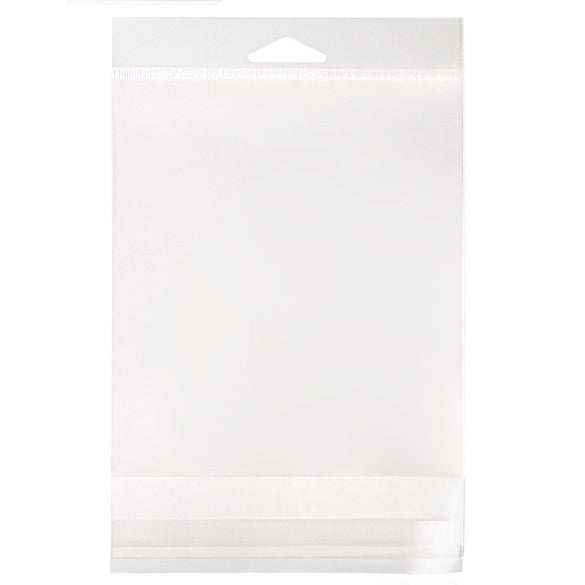 Sacchetti con foro di sospensione 13.8x13.3cm richiudibili e trasparenti (100 pezzi) [HB5X5]