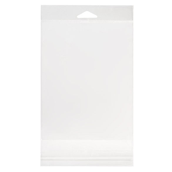 Sacchetti con foro di sospensione 13.5x17.1cm richiudibili e trasparenti (100 pezzi) [HB6B1]