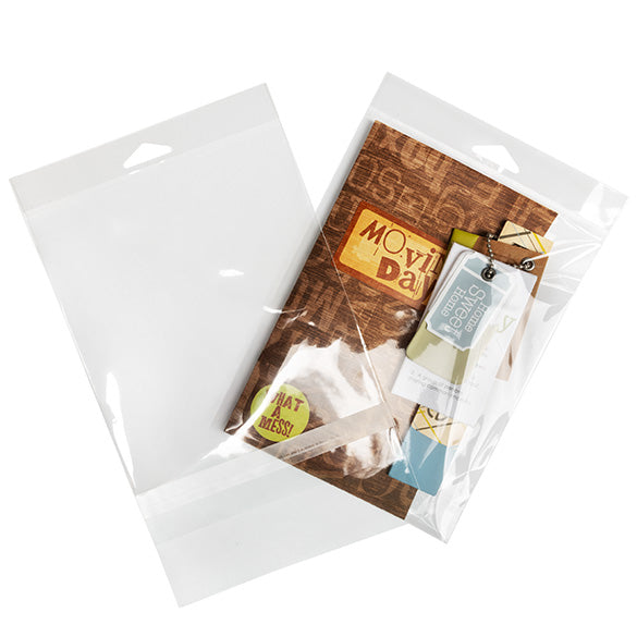 Sacchetti con foro di sospensione 15.1x19.7cm con chiusura di protezione (100 pezzi) [HB7B3PC]