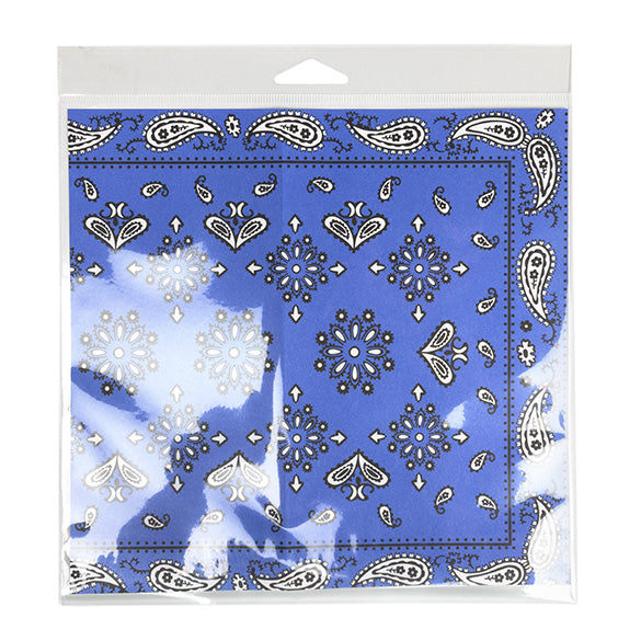 Sacchetti con foro di sospensione 21x20.5cm con chiusura di protezione (100 pezzi) [HB88SPC]