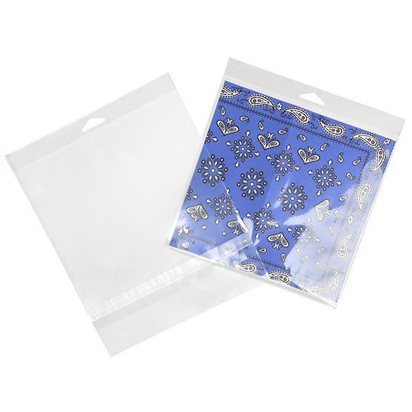 Sacchetti con foro di sospensione 21x20.5cm con chiusura di protezione (100 pezzi) [HB88SPC]