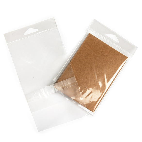 Sacchetti con foro di sospensione 10.3x13.7cm con chiusura di protezione (100 pezzi) [HB4B1PC]