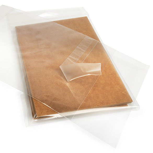 Sacchetti con foro di sospensione 10.3x13.7cm con chiusura di protezione (100 pezzi) [HB4B1PC]