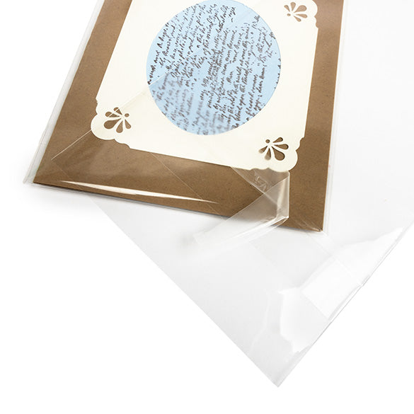 Sacchetti con foro di sospensione 11.7x14.6cm con chiusura di protezione (100 pezzi) [HB54PC]
