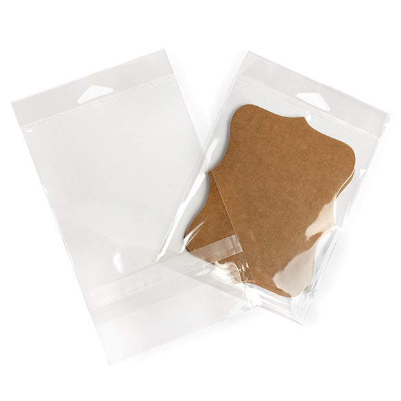 Sacchetti con foro di sospensione 12.4x15.2cm con chiusura di protezione (100 pezzi) [HB5B1PC]