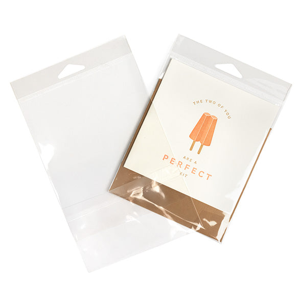 Sacchetti con foro di sospensione 12.7x15.2cm con chiusura di protezione (100 pezzi) [HB5B2PC]