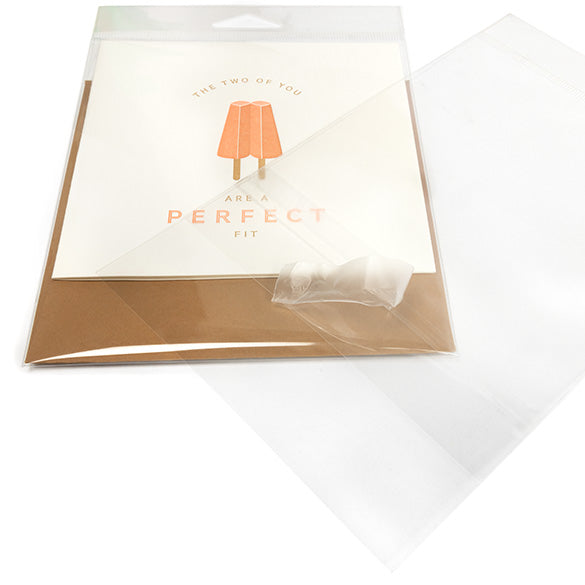 Sacchetti con foro di sospensione 12.7x15.2cm con chiusura di protezione (100 pezzi) [HB5B2PC]