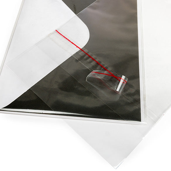 Sacchetti con foro di sospensione 13.8x17.8cm con chiusura di protezione (100 pezzi) [HB6B3PC]
