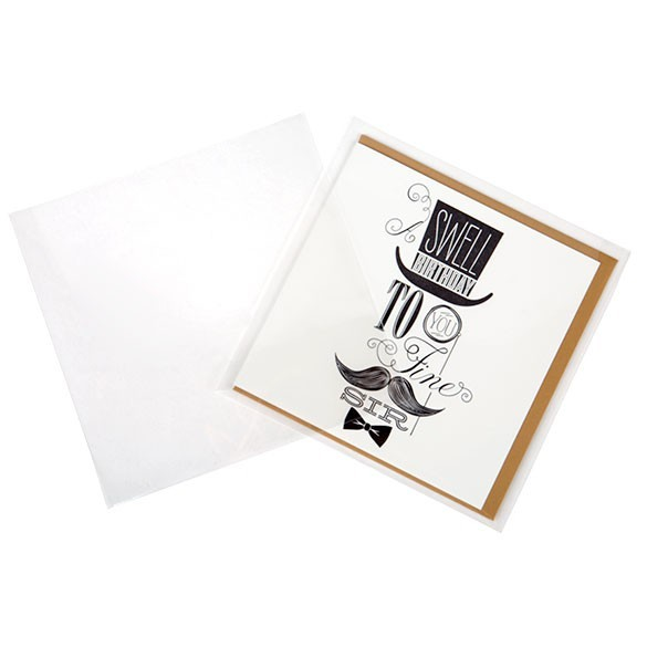 Sacchetto di plastica trasparente 14,9x15cm senza chiusura adesiva (250 pezzi) [VL5X5XNF]