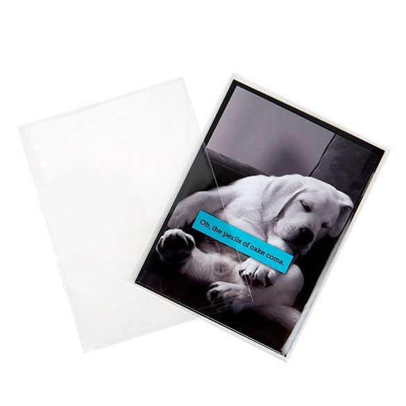 Sacchetto di plastica trasparente 12,6x17cm senza chiusura adesiva (250 pezzi) [VL65NF]