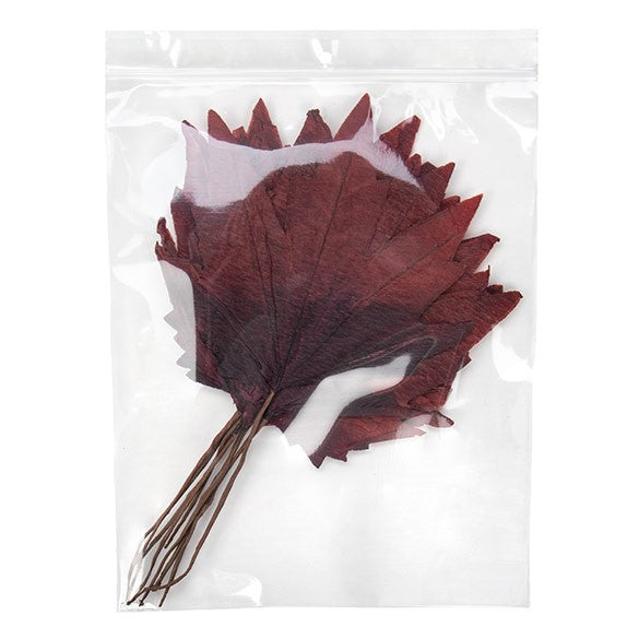 Sacchetto trasparente con chiusura a pressione e foro 20.5x25.5cm PP 75 microns (100 pezzi) [Z3R810]