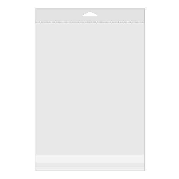 Sacchetti con foro di sospensione 21.4x26cm richiudibili e trasparenti (100 pezzi) [HB108]
