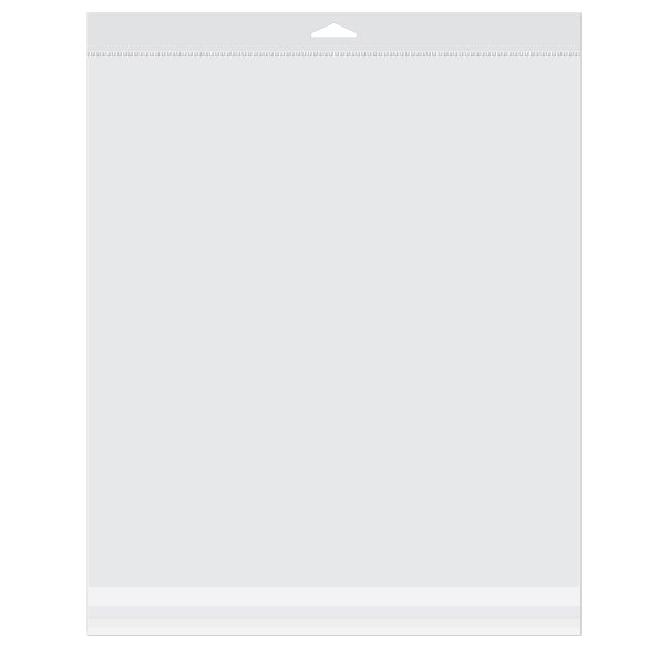 Sacchetti con foro di sospensione 32.4x34.9cm richiudibili e trasparenti (100 pezzi) [HB1212XL]