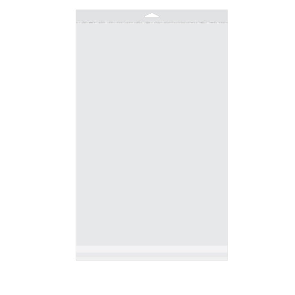 Sacchetti con foro di sospensione 31.6x46.4cm richiudibili e trasparenti (100 pezzi) [HB1218]