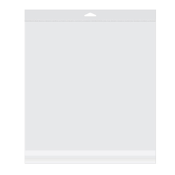 Sacchetti con foro di sospensione 31.8x31.4cm richiudibili e trasparenti (100 pezzi) [HB12X12]
