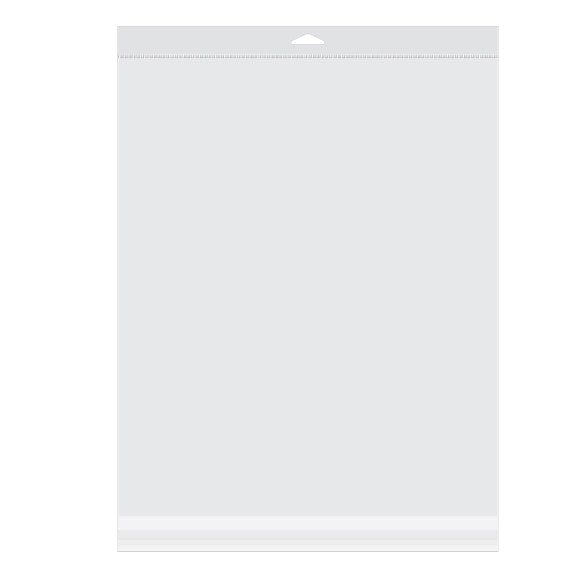 Sacchetti con foro di sospensione 34.1x41.3cm richiudibili e trasparenti (100 pezzi) [HB13]