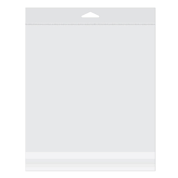 Sacchetti con foro di sospensione 21.4x21cm richiudibili e trasparenti (100 pezzi) [HB88]