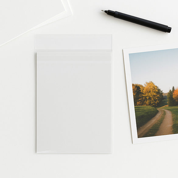 Sacchetto di plastica trasparente 10.8x15.6cm Premium con chiusura di protezione (100 pezzi) [PR4X6]