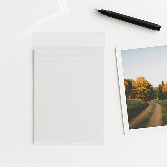 Sacchetto di plastica trasparente 10.8x15.6cm Premium con chiusura di protezione (100 pezzi) [PR4X6]