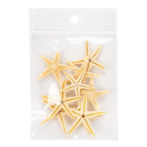 Sacchetto trasparente con chiusura a pressione e foro 6.5x7.5cm PP 75 microns (100 pezzi) [Z3R2H3]