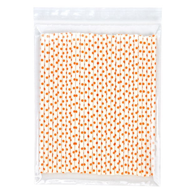 Sacchetto trasparente con chiusura a pressione 18x23cm PP 50 microns (100 pezzi) [ZC79]
