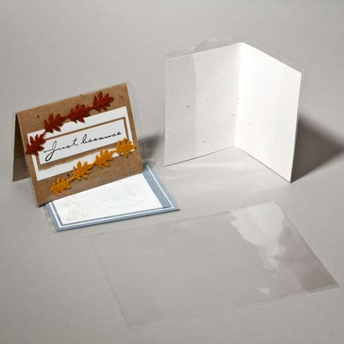 Buste trasparenti per cartoline e biglietti 13.3 x 18.6cm (100 pezzi) [CJ2]