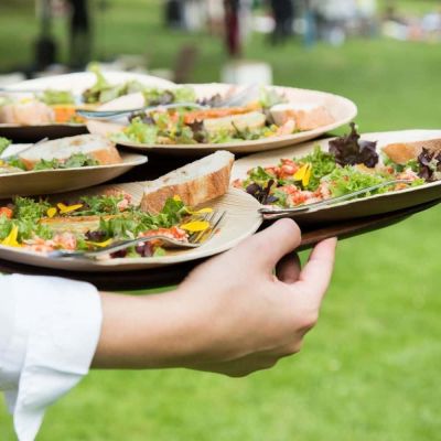 Piatto Palmware® Ø 25 cm, rotondo (200 pezzi) [GB-DTW05370]