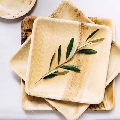 Piatto quadrato Palm Leaf, 23x23 cm (200 pezzi) [GB-DTW05640]