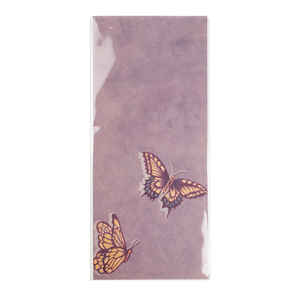 Sacchetto ecologico con soffietto 11x24.3cm Premium sigillabile (100 pezzi) [GC49NF]