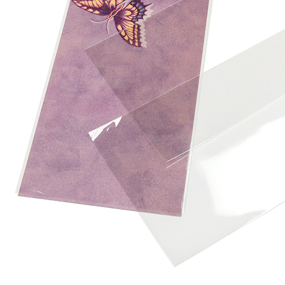 Sacchetto ecologico con soffietto 11x24.3cm Premium sigillabile (100 pezzi) [GC49NF]