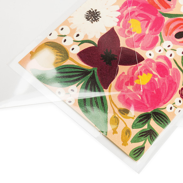 Sacchetto ecologico con soffietto trasparente 11,5x15cm (100 pezzi) [GC54NF]