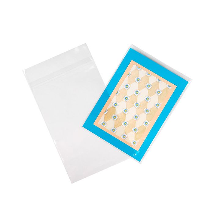 Sacchetto Ecologico 15.2x24.1 cm chiusura protettiva (100 pz) [GC69HPC]