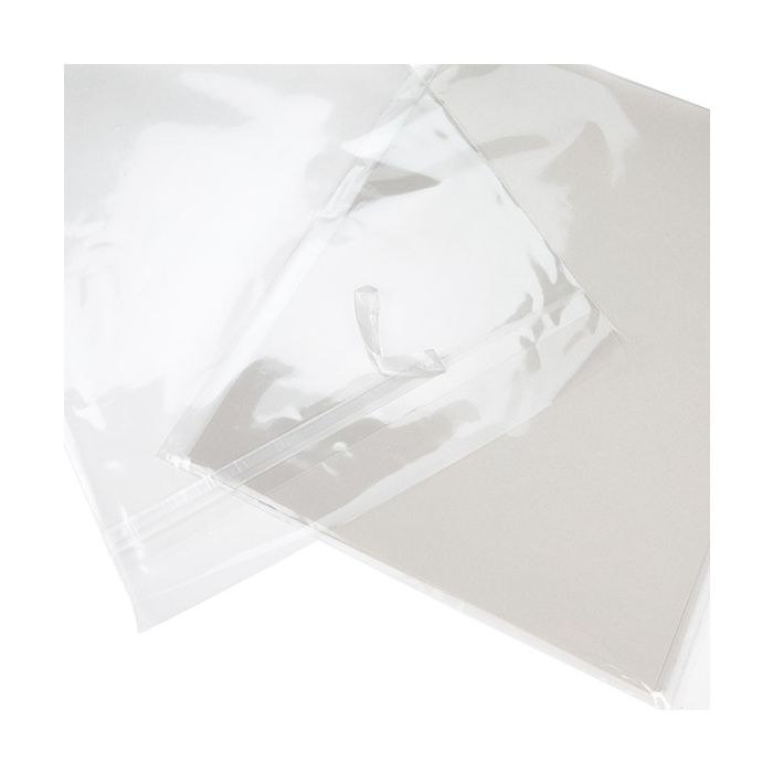 Sacchetto Ecologico 24x31.1 cm chiusura protettiva (100 pz) [GC9PC]