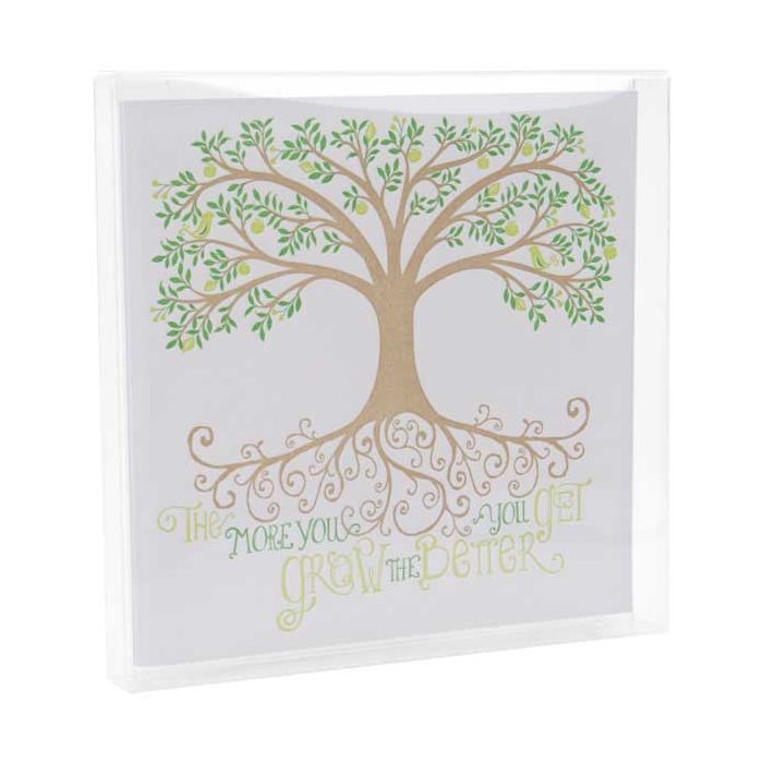 Scatole regalo trasparenti 13x1.6x12.9cm (25 pezzi) [FB11]