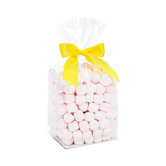 Sacchetto SOS trasparente 10.2x7.6x25.4cm con fondo piatto in carta (100 pezzi) [FGPB5]