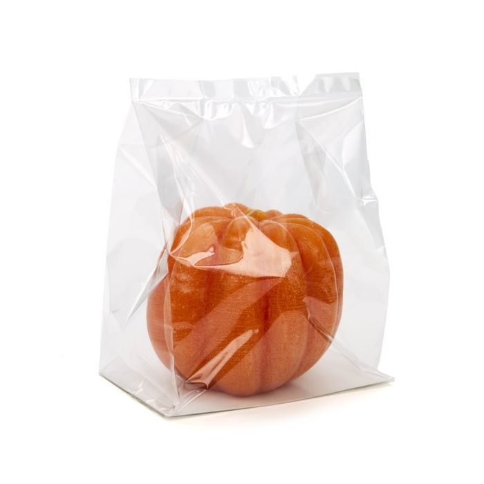 Sacchetto termosaldabile con fondo pieghevole 17.8x10.2x22.9cm con inserto in carta (100 pezzi) [FGPBH8]