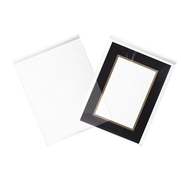 Sacchetto di plastica trasparente 34.1x41.3cm con chiusura adesiva (100 pezzi) [B13]