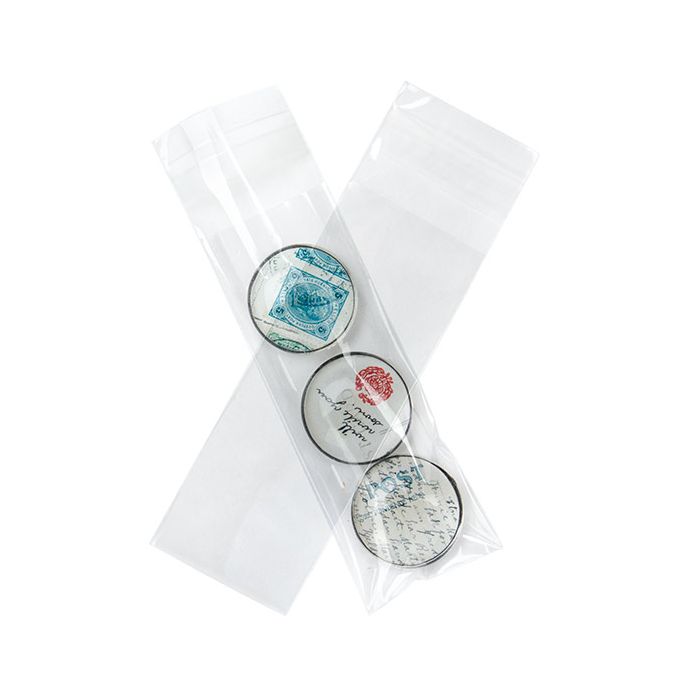 Busta plastica trasparente 4.8x12,7 cm richiudibile (100 pezzi) [B1X5]