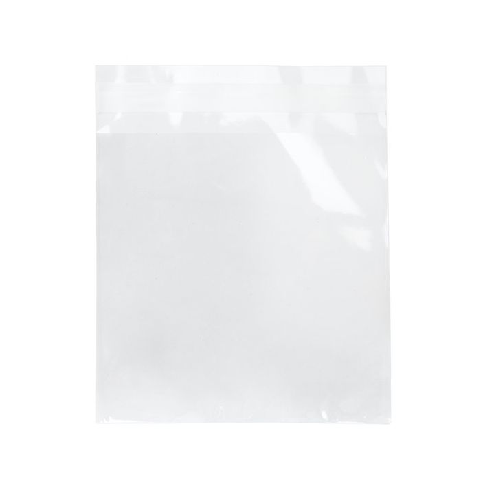 Sacchetto di plastica trasparente 14x14cm con chiusura adesiva (100 pezzi) [B5H5H]