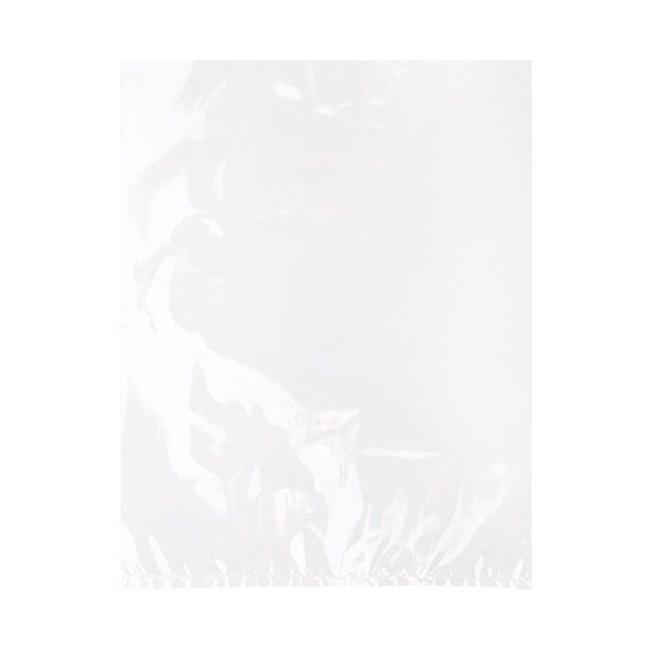 Sacchetto di plastica 20,3x25,4cm polipropilene trasparente (100 pezzi) [FP1810]