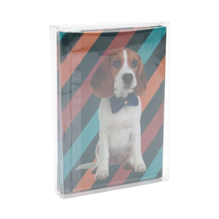 Scatole trasparenti 13x2.5x18.1cm (25 pezzi) [FPB168]