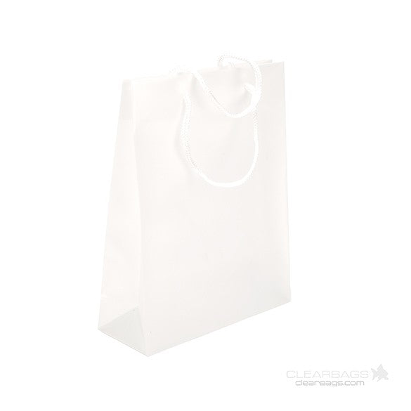 Borsa regalo 22x7.6x27cm (10 pezzi) [G8FT1]