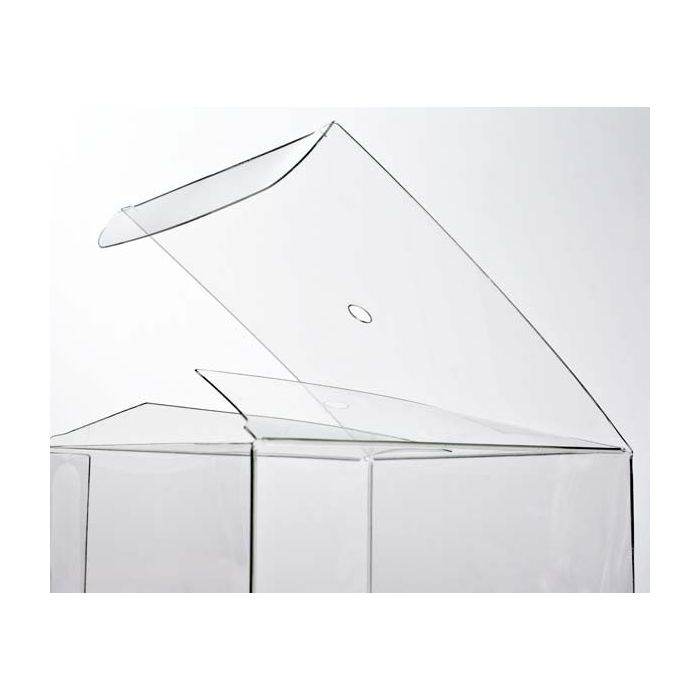 Scatole regalo in plastica per mele caramellate 10.2x10.2x10.2cm (25 pezzi) [FS56]